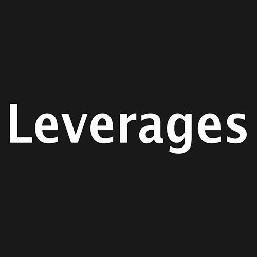 レバレジーズ株式会社のロゴ画像